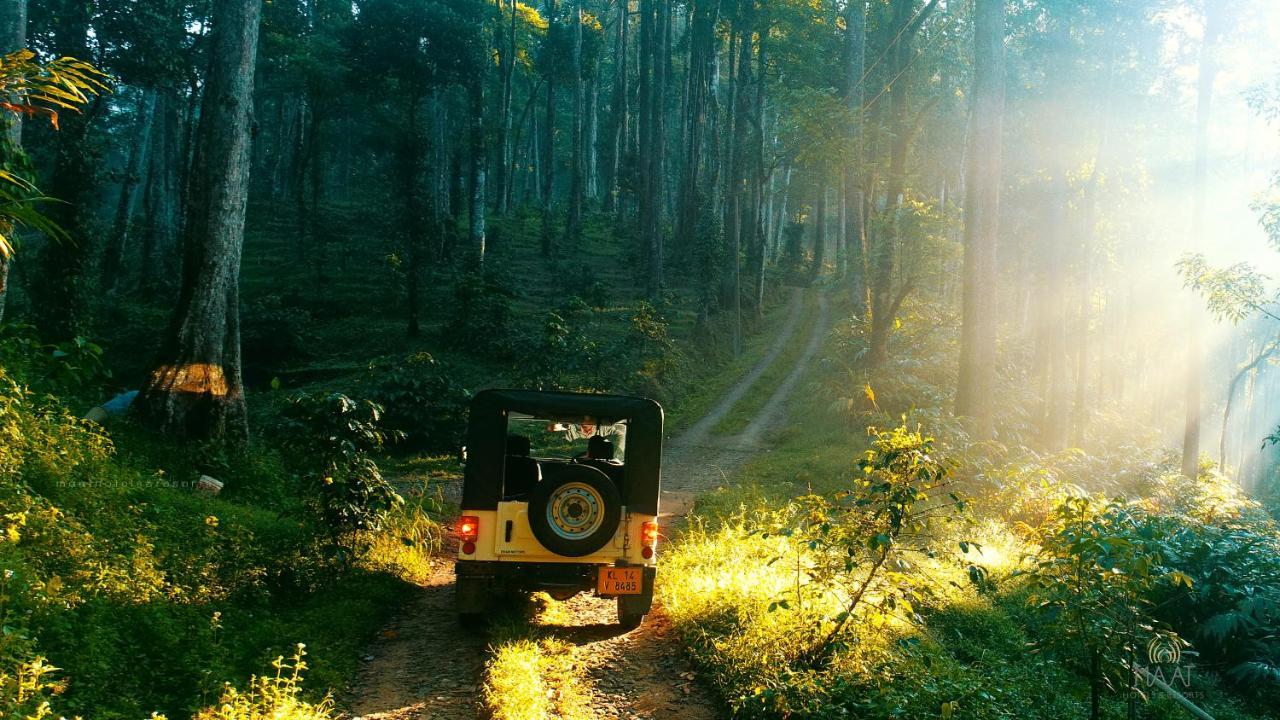 Dew Drops Farm Resorts Munnar Dış mekan fotoğraf