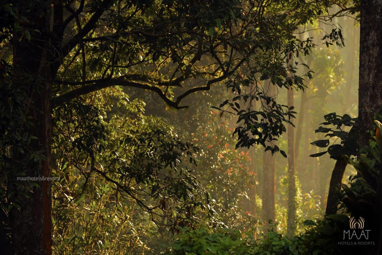 Dew Drops Farm Resorts Munnar Dış mekan fotoğraf