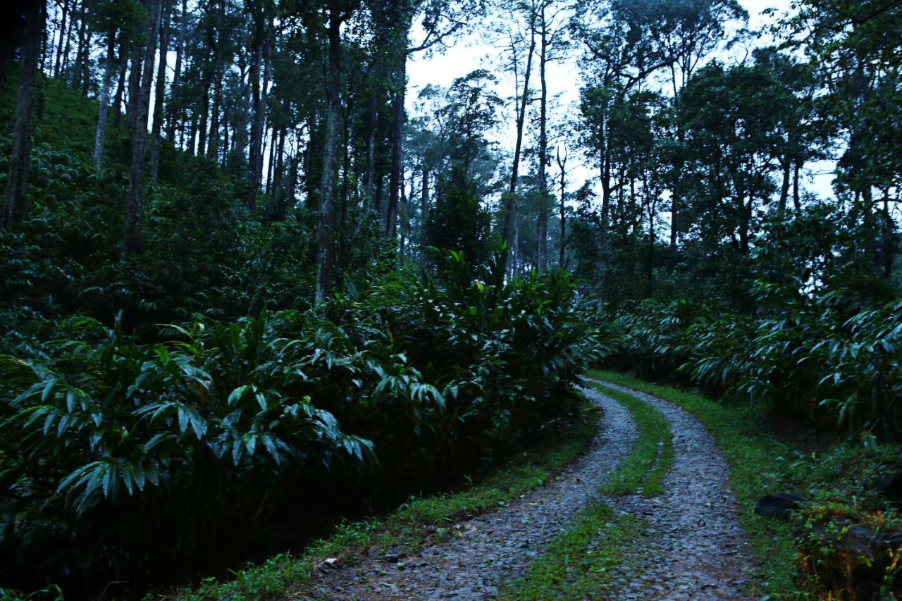 Dew Drops Farm Resorts Munnar Dış mekan fotoğraf