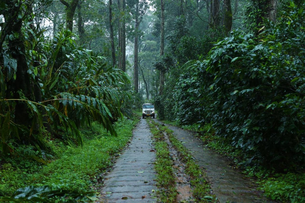 Dew Drops Farm Resorts Munnar Dış mekan fotoğraf