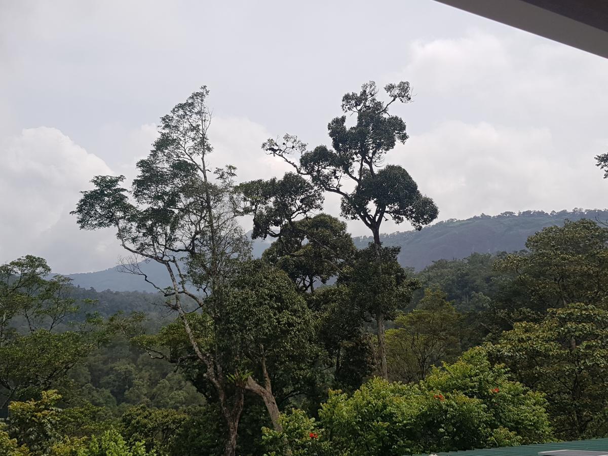 Dew Drops Farm Resorts Munnar Dış mekan fotoğraf