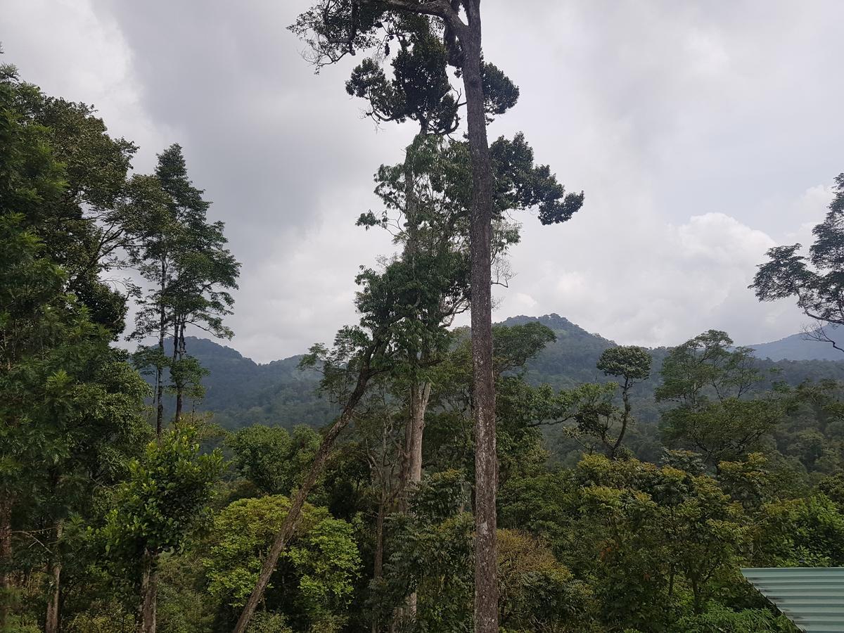 Dew Drops Farm Resorts Munnar Dış mekan fotoğraf